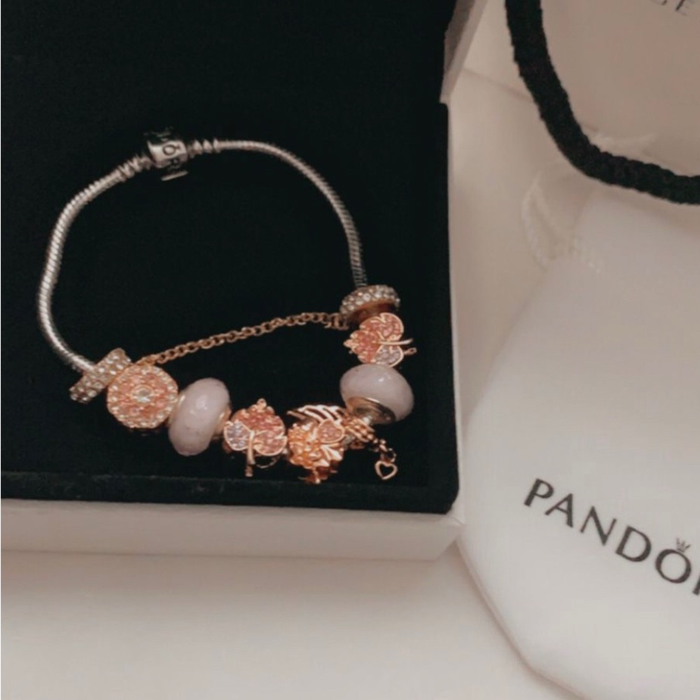 Pandora Snake Chain Charm bracelet